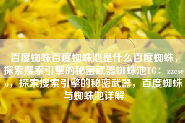 百度蜘蛛百度蜘蛛池是什么百度蜘蛛，探索搜索引擎的秘密武器蜘蛛池TG：zzcseo，探索搜索引擎的秘密武器，百度蜘蛛与蜘蛛池详解