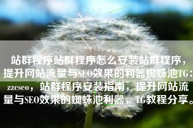 站群程序站群程序怎么安装站群程序，提升网站流量与SEO效果的利器蜘蛛池TG：zzcseo，站群程序安装指南，提升网站流量与SEO效果的蜘蛛池利器，TG教程分享。