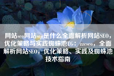 网站seo网站seo是什么全面解析网站SEO，优化策略与实践蜘蛛池TG：zzcseo，全面解析网站SEO，优化策略、实践及蜘蛛池技术指南