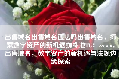 出售域名出售域名违法吗出售域名，探索数字资产的新机遇蜘蛛池TG：zzcseo，出售域名，数字资产的新机遇与法规边缘探索