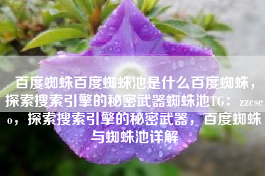 百度蜘蛛百度蜘蛛池是什么百度蜘蛛，探索搜索引擎的秘密武器蜘蛛池TG：zzcseo，探索搜索引擎的秘密武器，百度蜘蛛与蜘蛛池详解
