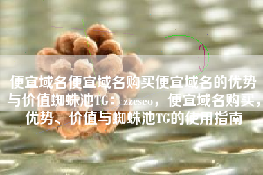 便宜域名便宜域名购买便宜域名的优势与价值蜘蛛池TG：zzcseo，便宜域名购买，优势、价值与蜘蛛池TG的使用指南