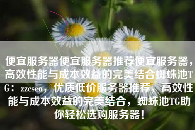 便宜服务器便宜服务器推荐便宜服务器，高效性能与成本效益的完美结合蜘蛛池TG：zzcseo，优质低价服务器推荐，高效性能与成本效益的完美结合，蜘蛛池TG助你轻松选购服务器！