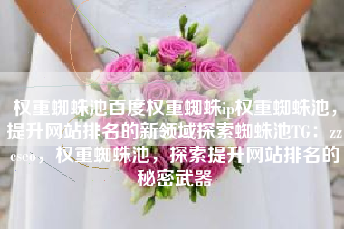 权重蜘蛛池百度权重蜘蛛ip权重蜘蛛池，提升网站排名的新领域探索蜘蛛池TG：zzcseo，权重蜘蛛池，探索提升网站排名的秘密武器