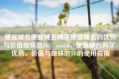 便宜域名便宜域名购买便宜域名的优势与价值蜘蛛池TG：zzcseo，便宜域名购买，优势、价值与蜘蛛池TG的使用指南