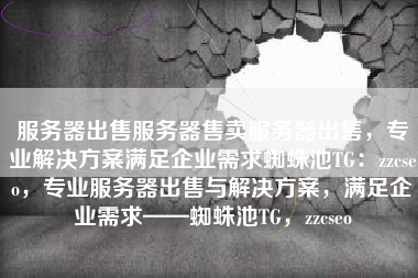 服务器出售服务器售卖服务器出售，专业解决方案满足企业需求蜘蛛池TG：zzcseo，专业服务器出售与解决方案，满足企业需求——蜘蛛池TG，zzcseo