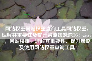 网站权重网站权重查询工具网站权重，理解其重要性及提升策略蜘蛛池TG：zzcseo，网站权重，理解其重要性、提升策略及使用网站权重查询工具