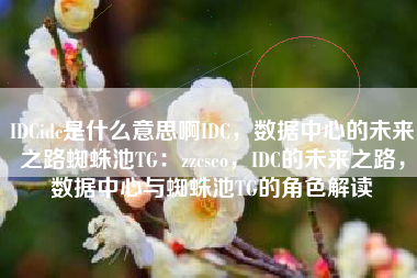 IDCidc是什么意思啊IDC，数据中心的未来之路蜘蛛池TG：zzcseo，IDC的未来之路，数据中心与蜘蛛池TG的角色解读
