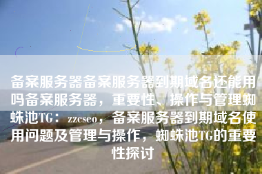 备案服务器备案服务器到期域名还能用吗备案服务器，重要性、操作与管理蜘蛛池TG：zzcseo，备案服务器到期域名使用问题及管理与操作，蜘蛛池TG的重要性探讨