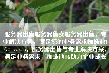 服务器出售服务器售卖服务器出售，专业解决方案，满足您的业务需求蜘蛛池TG：zzcseo，服务器出售与专业解决方案，满足业务需求，蜘蛛池TG助力企业成长
