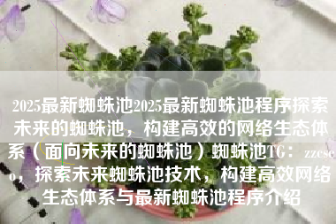 2025最新蜘蛛池2025最新蜘蛛池程序探索未来的蜘蛛池，构建高效的网络生态体系（面向未来的蜘蛛池）蜘蛛池TG：zzcseo，探索未来蜘蛛池技术，构建高效网络生态体系与最新蜘蛛池程序介绍