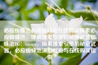 必应蜘蛛池必应蜘蛛池在线购买探索必应蜘蛛池，理解搜索引擎的秘密武器蜘蛛池TG：zzcseo，探索搜索引擎的秘密武器，必应蜘蛛池深度解析与在线购买指南