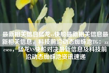 最新相关信息猛龙vs快船最新相关信息最新相关信息，科技前沿动态蜘蛛池TG：zzcseo，猛龙VS快船对决最新信息及科技前沿动态蜘蛛池资讯速递