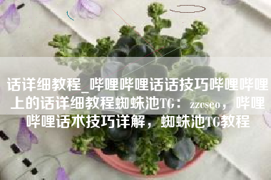 话详细教程_哔哩哔哩话话技巧哔哩哔哩上的话详细教程蜘蛛池TG：zzcseo，哔哩哔哩话术技巧详解，蜘蛛池TG教程