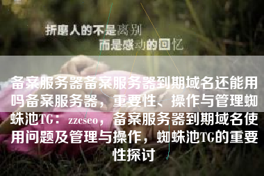 备案服务器备案服务器到期域名还能用吗备案服务器，重要性、操作与管理蜘蛛池TG：zzcseo，备案服务器到期域名使用问题及管理与操作，蜘蛛池TG的重要性探讨