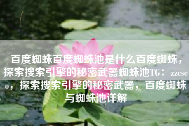 百度蜘蛛百度蜘蛛池是什么百度蜘蛛，探索搜索引擎的秘密武器蜘蛛池TG：zzcseo，探索搜索引擎的秘密武器，百度蜘蛛与蜘蛛池详解