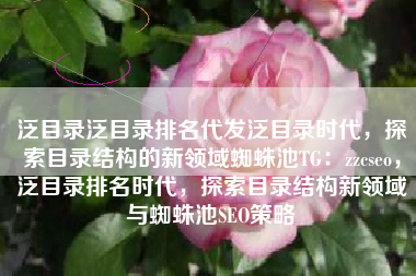 泛目录泛目录排名代发泛目录时代，探索目录结构的新领域蜘蛛池TG：zzcseo，泛目录排名时代，探索目录结构新领域与蜘蛛池SEO策略