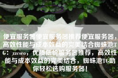 便宜服务器便宜服务器推荐便宜服务器，高效性能与成本效益的完美结合蜘蛛池TG：zzcseo，优质低价服务器推荐，高效性能与成本效益的完美结合，蜘蛛池TG助你轻松选购服务器！