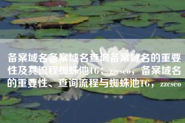 备案域名备案域名查询备案域名的重要性及其流程蜘蛛池TG：zzcseo，备案域名的重要性、查询流程与蜘蛛池TG，zzcseo