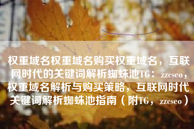 权重域名权重域名购买权重域名，互联网时代的关键词解析蜘蛛池TG：zzcseo，权重域名解析与购买策略，互联网时代关键词解析蜘蛛池指南（附TG，zzcseo）