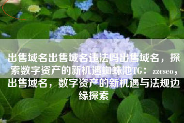 出售域名出售域名违法吗出售域名，探索数字资产的新机遇蜘蛛池TG：zzcseo，出售域名，数字资产的新机遇与法规边缘探索