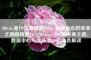 IDCidc是什么意思啊IDC，数据中心的未来之路蜘蛛池TG：zzcseo，IDC的未来之路，数据中心与蜘蛛池TG的角色解读