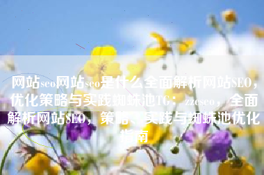 网站seo网站seo是什么全面解析网站SEO，优化策略与实践蜘蛛池TG：zzcseo，全面解析网站SEO，策略、实践与蜘蛛池优化指南