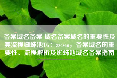备案域名备案 域名备案域名的重要性及其流程蜘蛛池TG：zzcseo，备案域名的重要性、流程解析及蜘蛛池域名备案指南