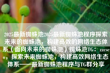 2025最新蜘蛛池2025最新蜘蛛池程序探索未来的蜘蛛池，构建高效的网络生态体系（面向未来的蜘蛛池）蜘蛛池TG：zzcseo，探索未来蜘蛛池，构建高效网络生态体系——最新蜘蛛池程序与TG群分享