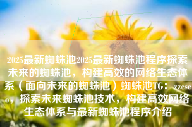2025最新蜘蛛池2025最新蜘蛛池程序探索未来的蜘蛛池，构建高效的网络生态体系（面向未来的蜘蛛池）蜘蛛池TG：zzcseo，探索未来蜘蛛池技术，构建高效网络生态体系与最新蜘蛛池程序介绍