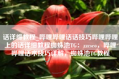 话详细教程_哔哩哔哩话话技巧哔哩哔哩上的话详细教程蜘蛛池TG：zzcseo，哔哩哔哩话术技巧详解，蜘蛛池TG教程