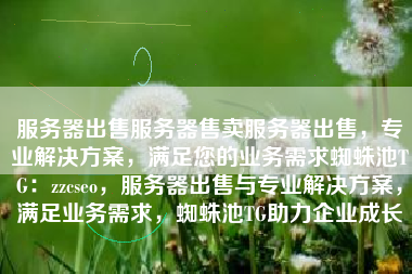 服务器出售服务器售卖服务器出售，专业解决方案，满足您的业务需求蜘蛛池TG：zzcseo，服务器出售与专业解决方案，满足业务需求，蜘蛛池TG助力企业成长