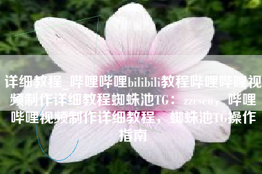 详细教程_哔哩哔哩bilibili教程哔哩哔哩视频制作详细教程蜘蛛池TG：zzcseo，哔哩哔哩视频制作详细教程，蜘蛛池TG操作指南