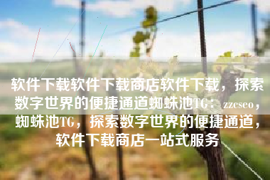 软件下载软件下载商店软件下载，探索数字世界的便捷通道蜘蛛池TG：zzcseo，蜘蛛池TG，探索数字世界的便捷通道，软件下载商店一站式服务