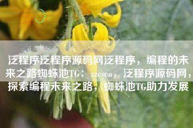 泛程序泛程序源码网泛程序，编程的未来之路蜘蛛池TG：zzcseo，泛程序源码网，探索编程未来之路，蜘蛛池TG助力发展