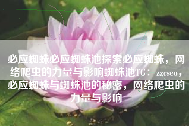 必应蜘蛛必应蜘蛛池探索必应蜘蛛，网络爬虫的力量与影响蜘蛛池TG：zzcseo，必应蜘蛛与蜘蛛池的秘密，网络爬虫的力量与影响