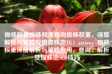 蜘蛛权重蜘蛛权重查询蜘蛛权重，深度解析与策略应用蜘蛛池TG：zzcseo，蜘蛛权重深度解析与策略应用，查询、解析及蜘蛛池SEO技巧