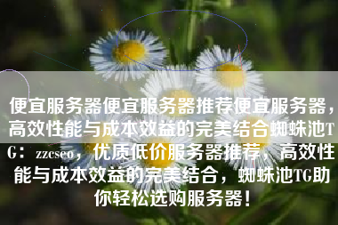 便宜服务器便宜服务器推荐便宜服务器，高效性能与成本效益的完美结合蜘蛛池TG：zzcseo，优质低价服务器推荐，高效性能与成本效益的完美结合，蜘蛛池TG助你轻松选购服务器！