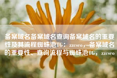 备案域名备案域名查询备案域名的重要性及其流程蜘蛛池TG：zzcseo，备案域名的重要性、查询流程与蜘蛛池TG，zzcseo