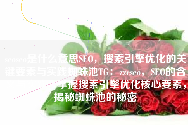 seoseo是什么意思SEO，搜索引擎优化的关键要素与实践蜘蛛池TG：zzcseo，SEO的含义与实践，掌握搜索引擎优化核心要素，揭秘蜘蛛池的秘密