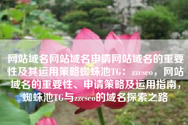 网站域名网站域名申请网站域名的重要性及其运用策略蜘蛛池TG：zzcseo，网站域名的重要性、申请策略及运用指南，蜘蛛池TG与zzcseo的域名探索之路