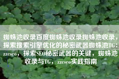 蜘蛛池收录百度蜘蛛池收录蜘蛛池收录，探索搜索引擎优化的秘密武器蜘蛛池TG：zzcseo，探索SEO秘密武器的关键，蜘蛛池收录与TG，zzcseo实践指南