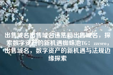 出售域名出售域名违法吗出售域名，探索数字资产的新机遇蜘蛛池TG：zzcseo，出售域名，数字资产的新机遇与法规边缘探索