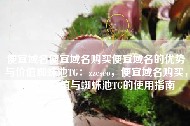 便宜域名便宜域名购买便宜域名的优势与价值蜘蛛池TG：zzcseo，便宜域名购买，优势、价值与蜘蛛池TG的使用指南