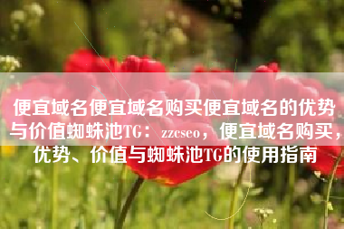 便宜域名便宜域名购买便宜域名的优势与价值蜘蛛池TG：zzcseo，便宜域名购买，优势、价值与蜘蛛池TG的使用指南