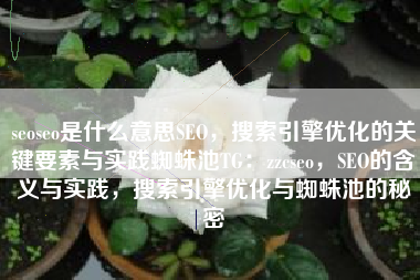 seoseo是什么意思SEO，搜索引擎优化的关键要素与实践蜘蛛池TG：zzcseo，SEO的含义与实践，搜索引擎优化与蜘蛛池的秘密