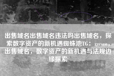 出售域名出售域名违法吗出售域名，探索数字资产的新机遇蜘蛛池TG：zzcseo，出售域名，数字资产的新机遇与法规边缘探索