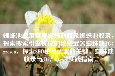 蜘蛛池收录百度蜘蛛池收录蜘蛛池收录，探索搜索引擎优化的秘密武器蜘蛛池TG：zzcseo，探索SEO秘密武器的关键，蜘蛛池收录与TG，zzcseo实践指南