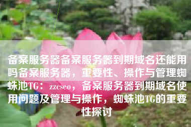 备案服务器备案服务器到期域名还能用吗备案服务器，重要性、操作与管理蜘蛛池TG：zzcseo，备案服务器到期域名使用问题及管理与操作，蜘蛛池TG的重要性探讨