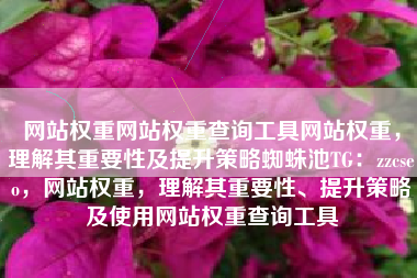 网站权重网站权重查询工具网站权重，理解其重要性及提升策略蜘蛛池TG：zzcseo，网站权重，理解其重要性、提升策略及使用网站权重查询工具